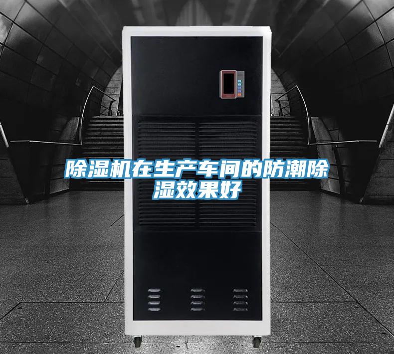 小黄片直播视频在生产车间的防潮除湿效果好