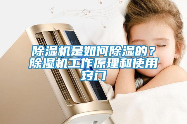小黄片直播视频是如何除湿的？小黄片直播视频工作原理和使用窍门