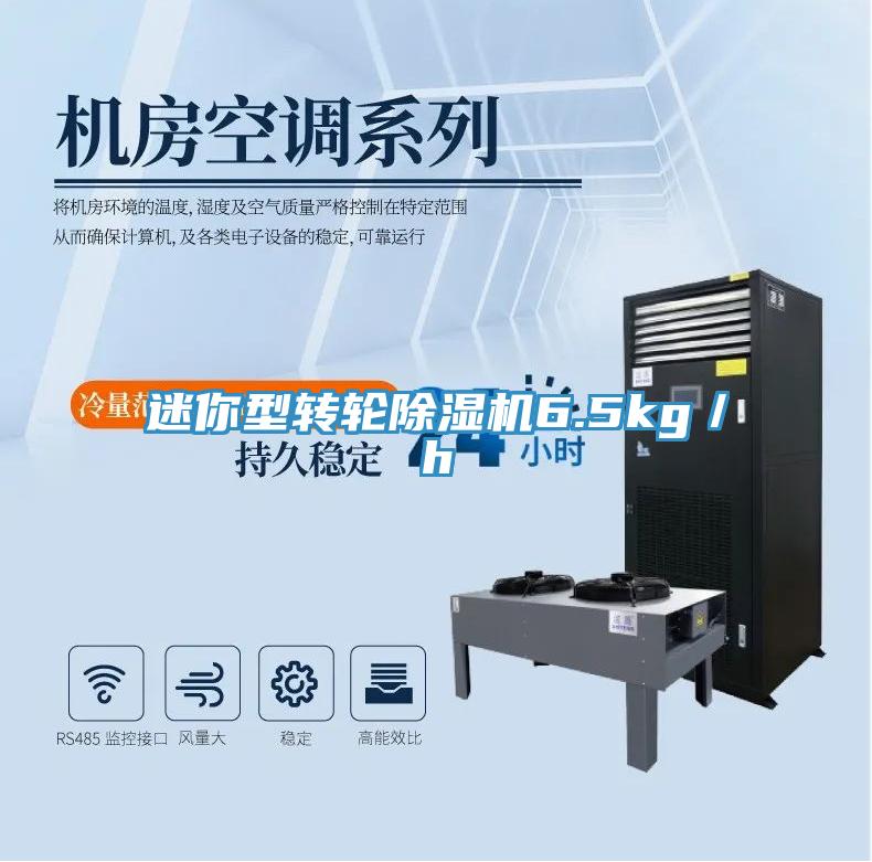 迷你型转轮小黄片直播视频6.5kg／h