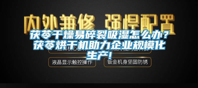茯苓干燥易碎裂吸湿怎么办？茯苓烘干机助力企业规模化生产!