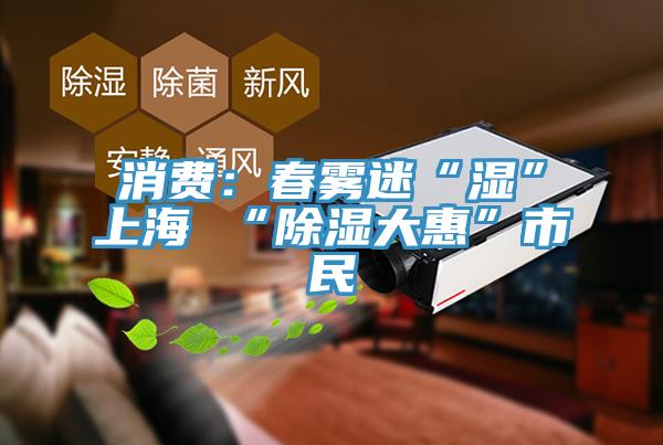 消费：春雾迷“湿”上海 “除湿大惠”市民