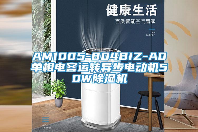 AM1005-804BIZ-A0单相电容运转异步电动机50W小黄片直播视频