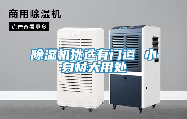 小黄片直播视频挑选有门道 小身材大用处