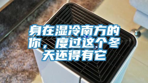 身在湿冷南方的你，度过这个冬天还得有它