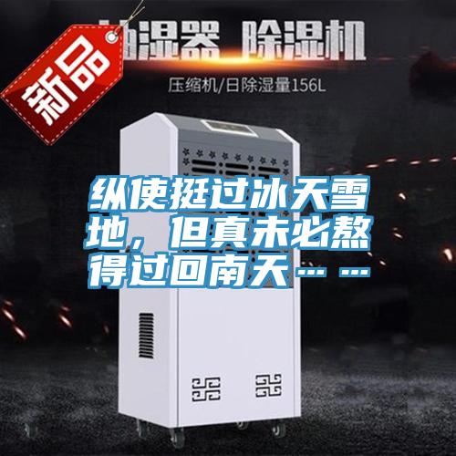 纵使挺过冰天雪地，但真未必熬得过回南天……