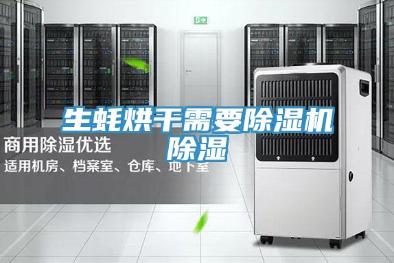 生蚝烘干需要小黄片直播视频除湿