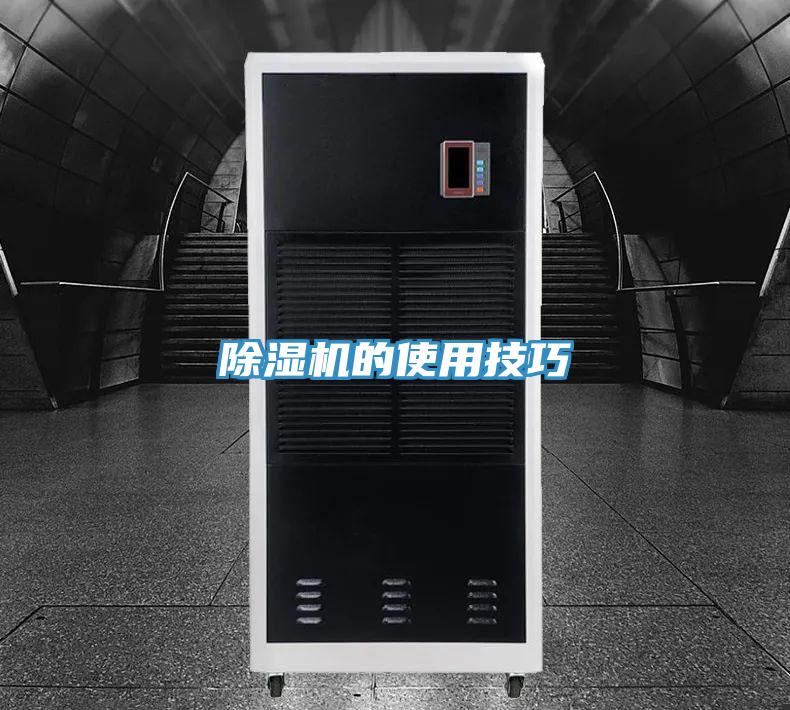 小黄片直播视频的使用技巧