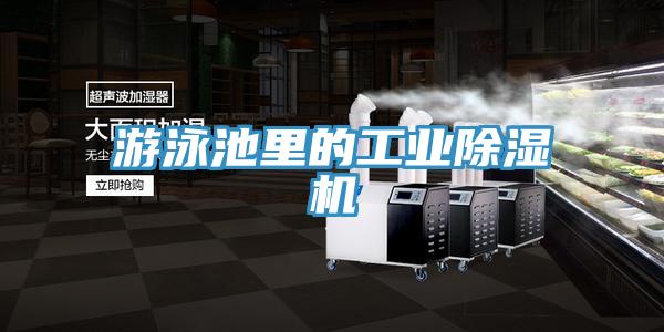 游泳池里的工业小黄片直播视频