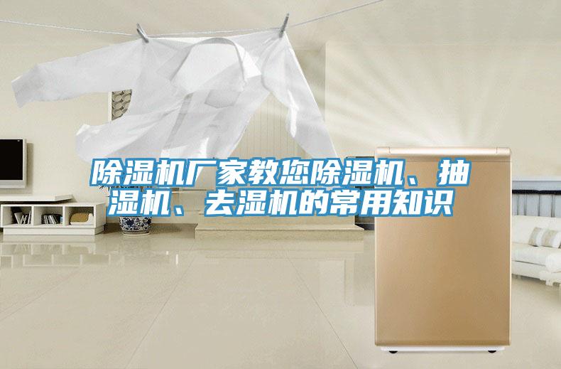 小黄片直播视频厂家教您小黄片直播视频、抽湿机、去湿机的常用知识