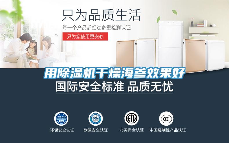 用小黄片直播视频干燥海参效果好