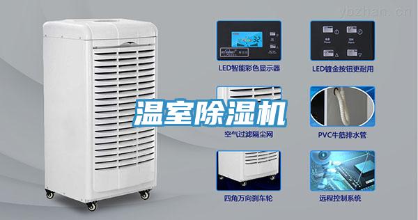 温室小黄片直播视频