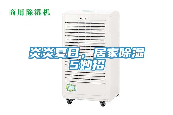 炎炎夏日，居家除湿5妙招