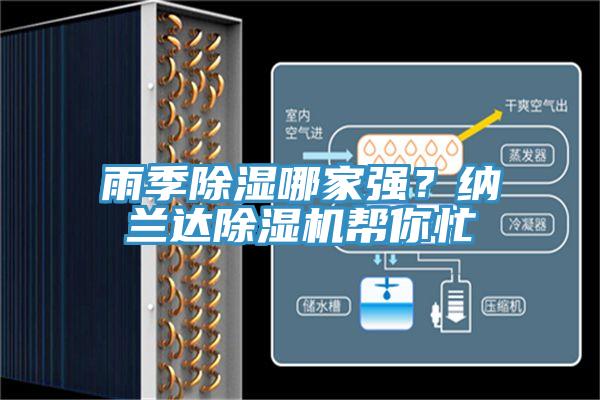 雨季除湿哪家强？纳兰达小黄片直播视频帮你忙