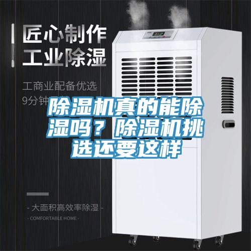 小黄片直播视频真的能除湿吗？小黄片直播视频挑选还要这样