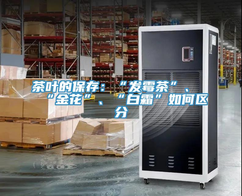 茶叶的保存：“发霉茶”、“金花”、“白霜”如何区分