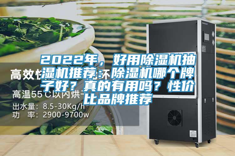 2022年，好用小黄片直播视频抽湿机推荐：小黄片直播视频哪个牌子好？真的有用吗？性价比品牌推荐