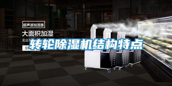 转轮小黄片直播视频结构特点