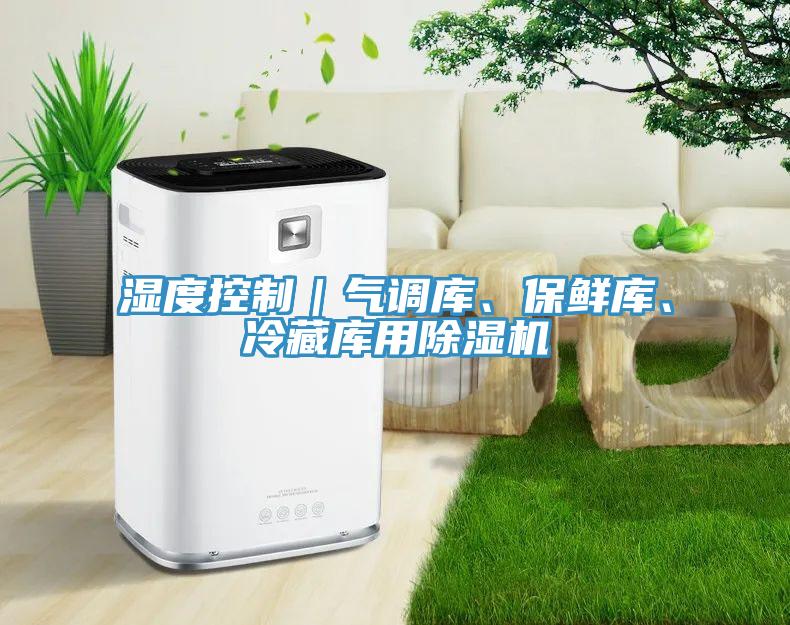 湿度控制｜气调库、保鲜库、冷藏库用小黄片直播视频