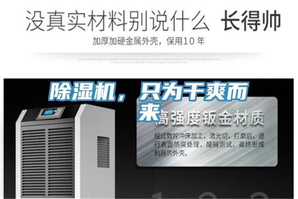小黄片直播视频，只为干爽而来