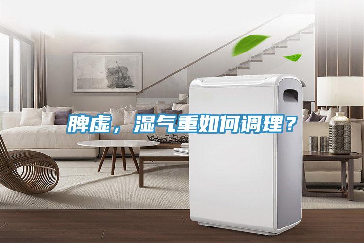 脾虚，湿气重如何调理？