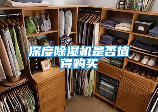 深度小黄片直播视频是否值得购买