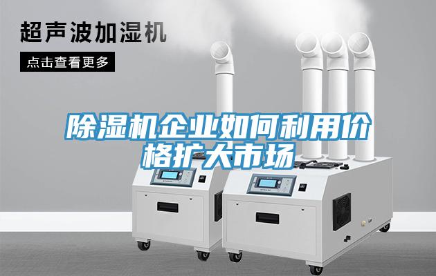 小黄片直播视频企业如何利用价格扩大市场