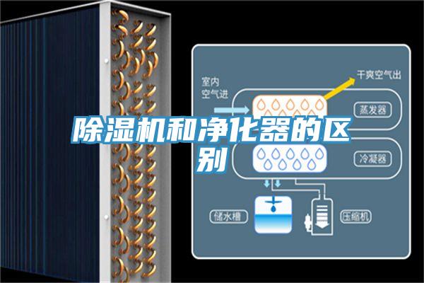 小黄片直播视频和净化器的区别