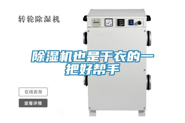 小黄片直播视频也是干衣的一把好帮手