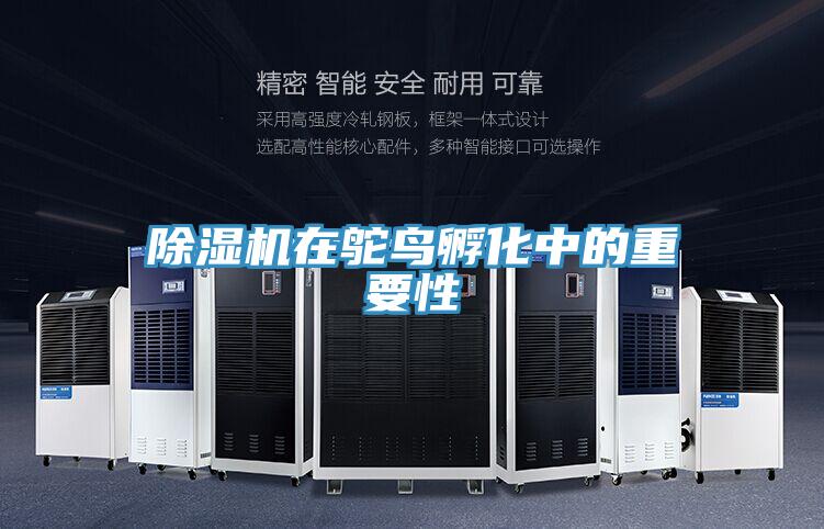 小黄片直播视频在鸵鸟孵化中的重要性