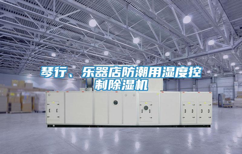 琴行、乐器店防潮用湿度控制小黄片直播视频