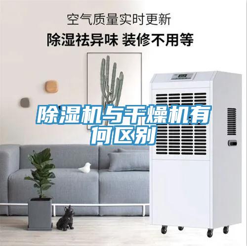 小黄片直播视频与干燥机有何区别