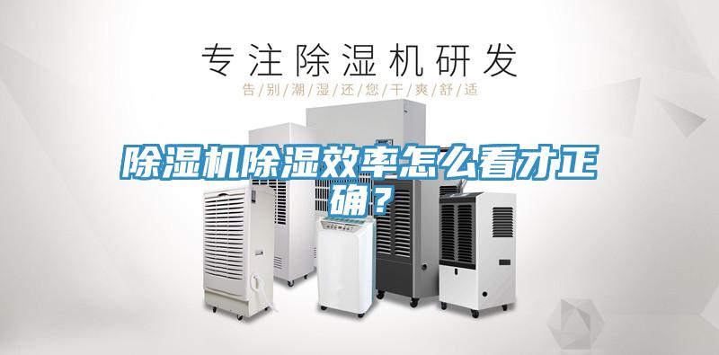 小黄片直播视频除湿效率怎么看才正确？