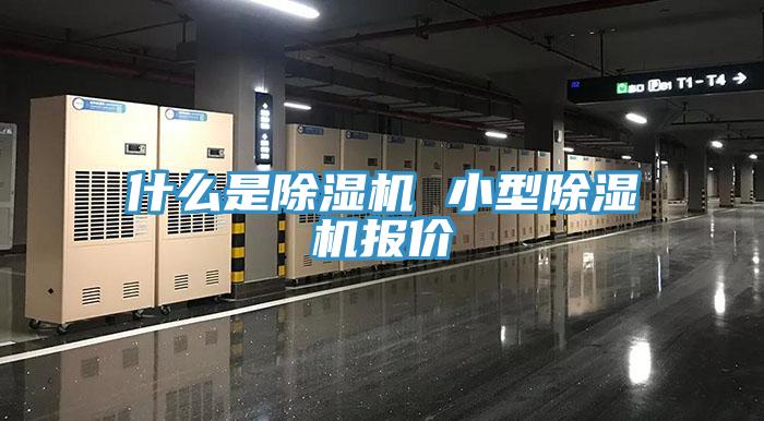 什么是小黄片直播视频 小型小黄片直播视频报价