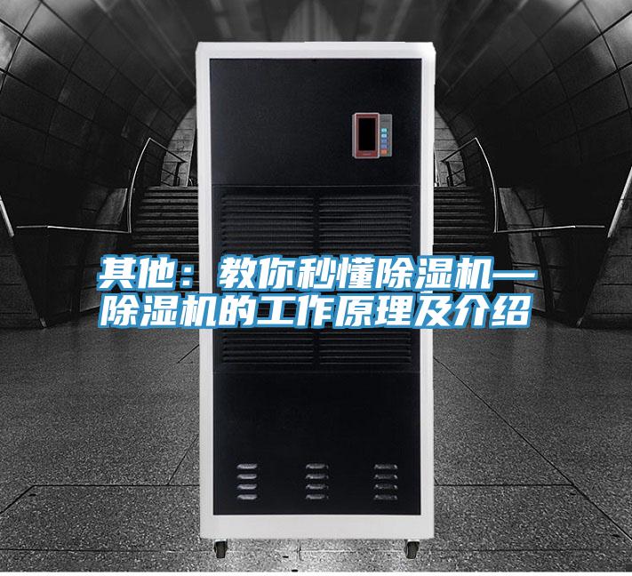 其他：教你秒懂小黄片直播视频—小黄片直播视频的工作原理及介绍