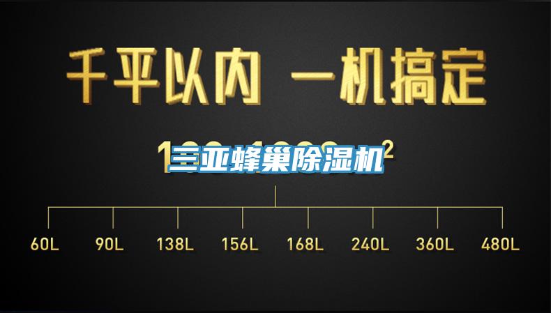 三亚蜂巢小黄片直播视频