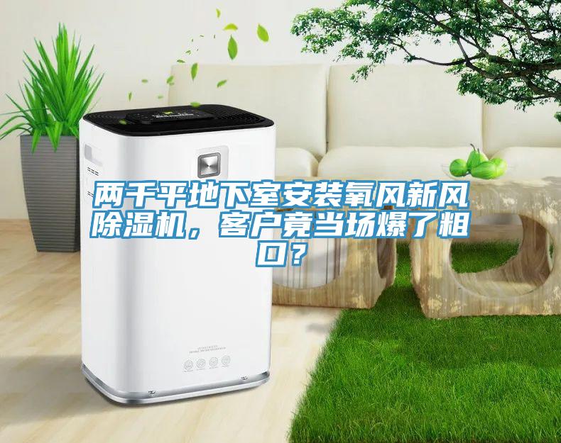 两千平地下室安装氧风新风小黄片直播视频，客户竟当场爆了粗口？