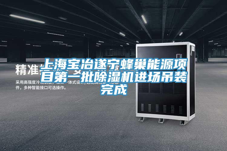 上海宝冶遂宁蜂巢能源项目第一批小黄片直播视频进场吊装完成