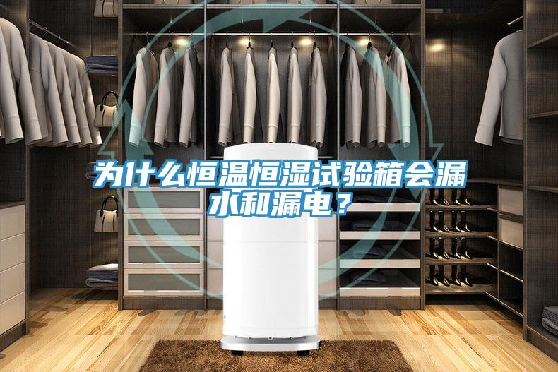 为什么恒温恒湿试验箱会漏水和漏电？