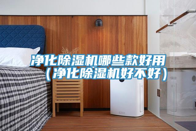 净化小黄片直播视频哪些款好用（净化小黄片直播视频好不好）