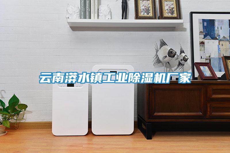 云南漭水镇工业小黄片直播视频厂家