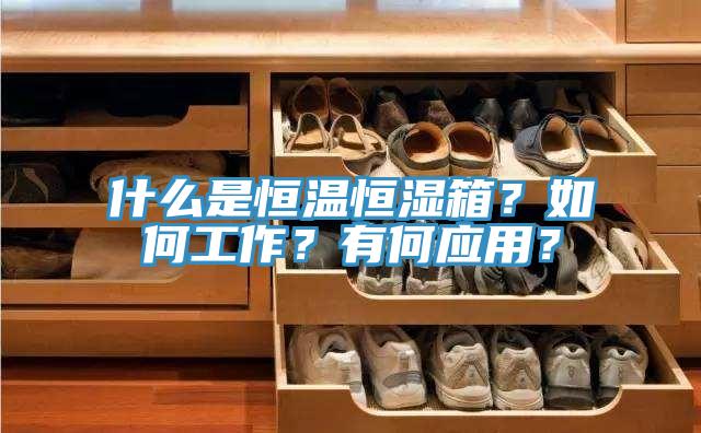 什么是恒温恒湿箱？如何工作？有何应用？