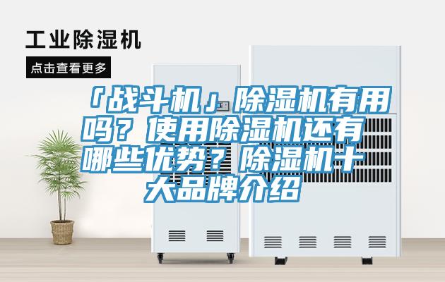 「战斗机」小黄片直播视频有用吗？使用小黄片直播视频还有哪些优势？小黄片直播视频十大品牌介绍