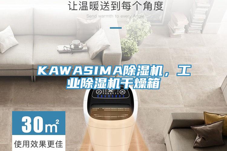 KAWASIMA小黄片直播视频，工业小黄片直播视频干燥箱