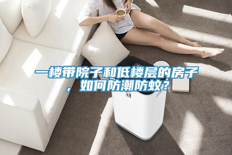 一楼带院子和低楼层的房子，如何防潮防蚊？