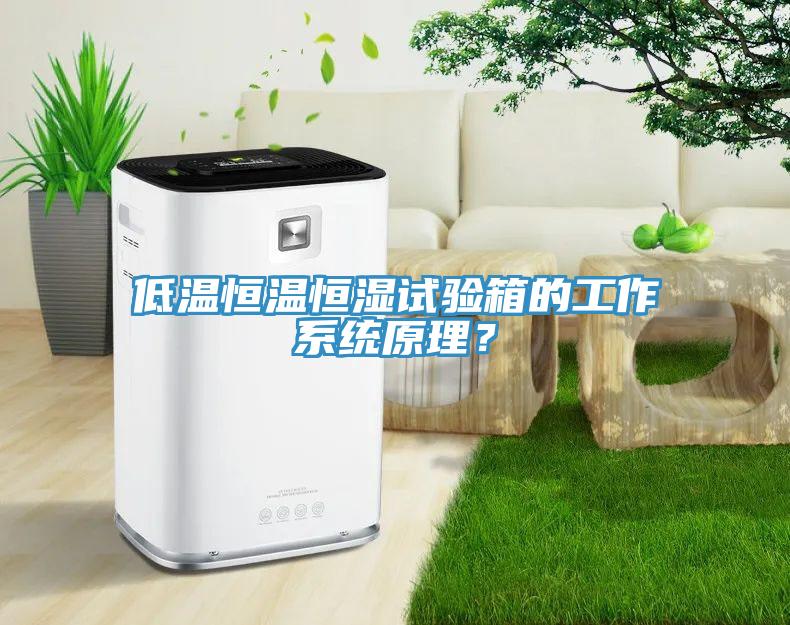 低温恒温恒湿试验箱的工作系统原理？