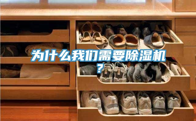 为什么午夜小黄片APP需要小黄片直播视频？