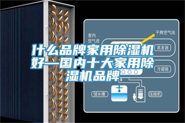 什么品牌家用小黄片直播视频好—国内十大家用小黄片直播视频品牌