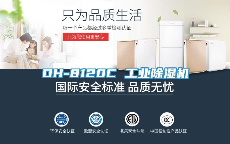DH-8120C 工业小黄片直播视频