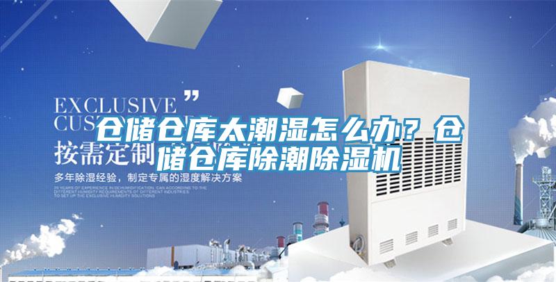 仓储仓库太潮湿怎么办？仓储仓库除潮小黄片直播视频