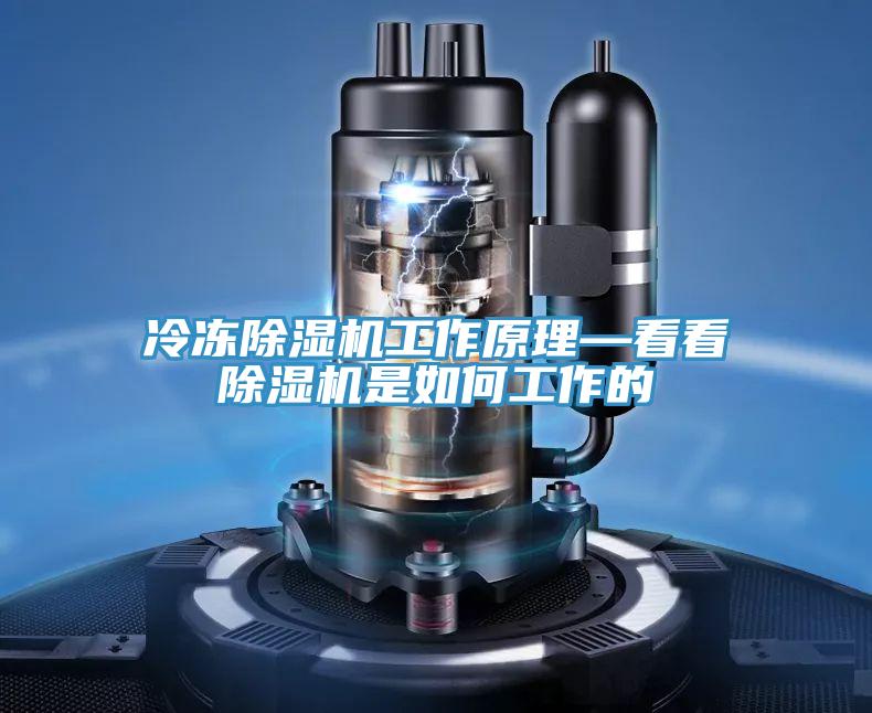冷冻小黄片直播视频工作原理—看看小黄片直播视频是如何工作的
